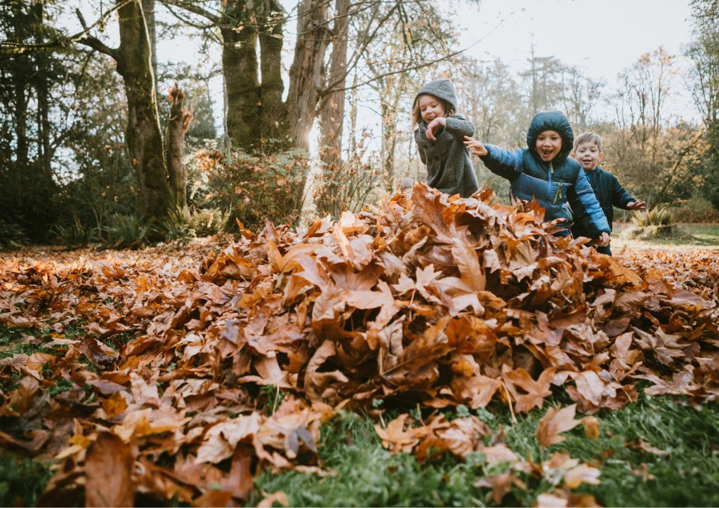 frères et soeurs qui jouent en forêt