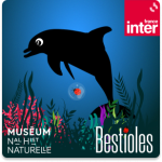 BESTIOLES_le dauphin 1