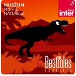 BESTIOLES_le tyrannosaure 1