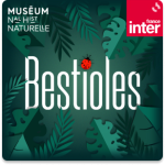 FI_Bestioles_Generique_150x150