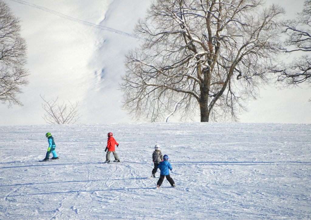 randonnée raquettes montagne